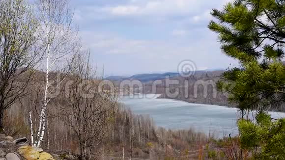 是春天温暖的阳光下山湖背景上的花蕾和叶子视频的预览图