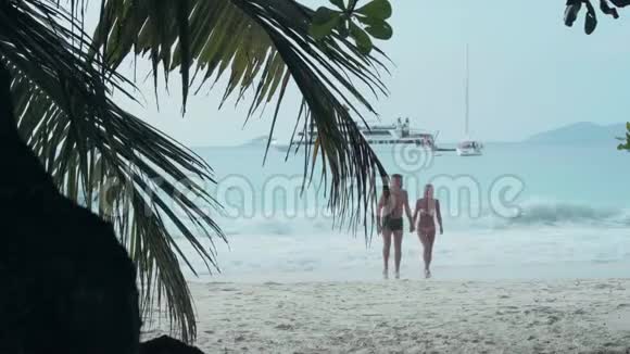 塞舌尔普拉斯林岛快乐的一对夫妇在岛上的海滩上休息穿泳装的漂亮女人牵着她的手视频的预览图