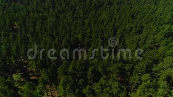 长绿色的木头靠近宽阔的河流蓝天空中视频的预览图