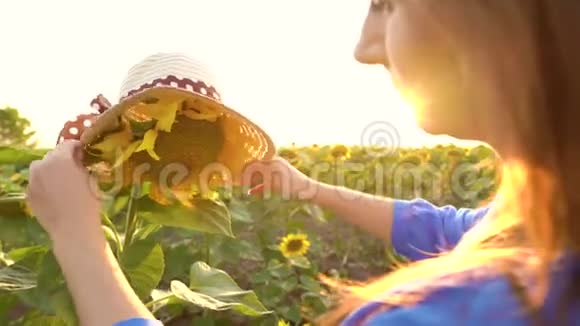 日落时分穿着蓝色裙子的女人在田野里的向日葵上戴着草帽农业视频的预览图
