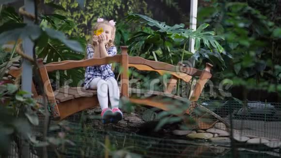 这个女孩在花园的桥上玩得很开心4K慢慢视频的预览图