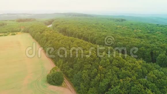 鸟瞰乡村道路之间的硕果累累的田野在左侧和茂密的森林在右侧4K视频的预览图