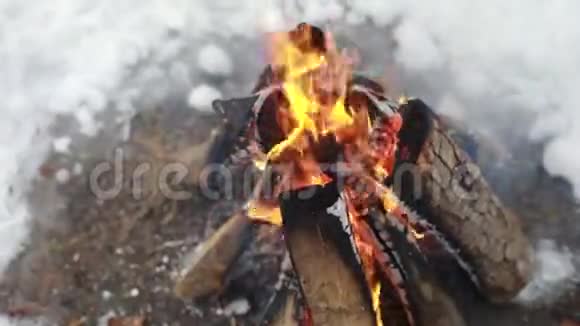 火和烟发光在火里燃烧木头篝火五颜六色的火焰和灰色的灰烬被树皮烧焦视频的预览图