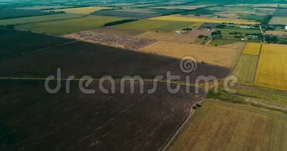 收割后和准备收割的田地的慢动作无人机镜头视频的预览图