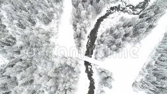 冬天的雪景有河流和松树林视频的预览图