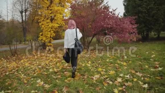 迷人的女孩走在五彩缤纷的秋天公园里戴上帽子微笑着视频的预览图