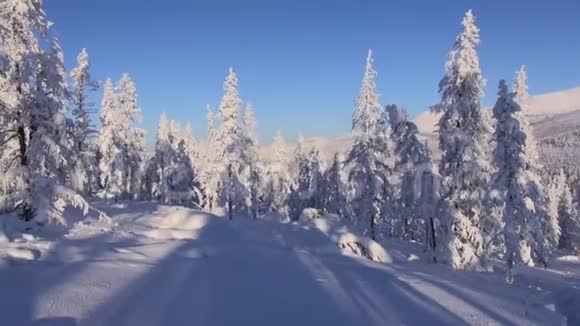 冬天一大早冰霜雪全景风摆动大影子科里马希尔斯视频的预览图