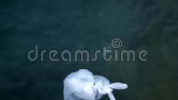白色塑料袋漂浮在海面上塑料和污染保护我们的星球视频的预览图