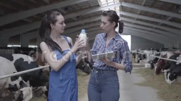 两个漂亮的女工在奶牛场检查牛奶瓶子的质量一个女孩手里拿着平板电脑视频的预览图