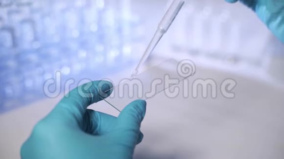 一位科学家正在准备显微镜样品在玻璃滑梯上滴液体化学或遗传研究概念视频的预览图