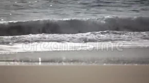 浪在沙滩上视频的预览图