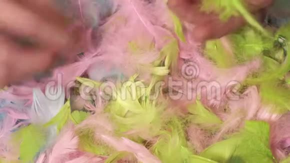 整理彩色羽毛的女人视频的预览图