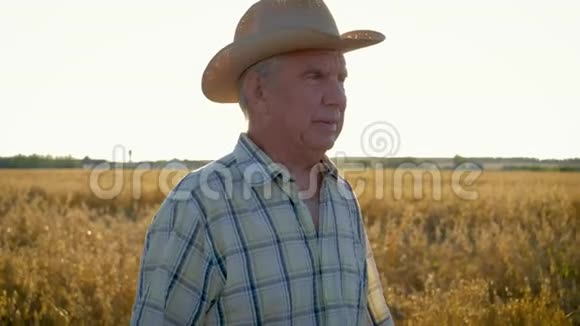 戴着牛仔帽的高白种人在日落时分的麦田里走得很近视频的预览图