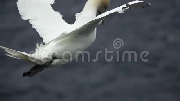 巴桑斯在超级慢潮中飞翔灰色的海洋视频的预览图