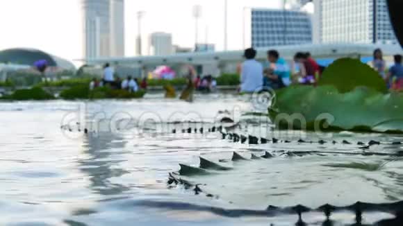 新加坡艺术科学博物馆附近的池塘和模糊的人视频的预览图