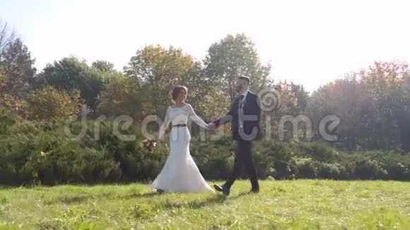 在公园散步的新婚夫妇动和情感的时刻视频的预览图