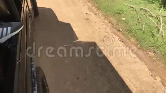 斯里兰卡亚拉道路交通视频的预览图