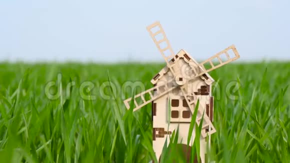 绿色的麦草里有一个小风车农业农学收获与栽培的概念视频的预览图