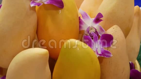 带有芒果和花的金色盘子成熟的黄色芒果和美丽的紫色兰花放在闪亮的视频的预览图