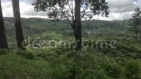 斯里兰卡埃拉火车窗口的乡村风光视频的预览图