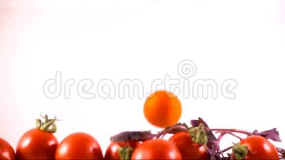 水中的新鲜番茄视频的预览图
