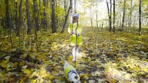 宠物家庭和友谊的概念小可爱的女孩带着一只狗穿过秋天的森林视频的预览图