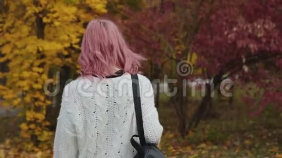 时髦的女孩走在五颜六色的秋天公园里戴上帽子微笑着视频的预览图