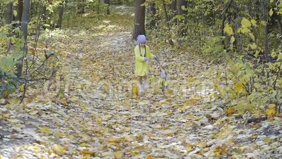 宠物家庭和友谊的概念小可爱的女孩带着一只狗穿过秋天的森林视频的预览图