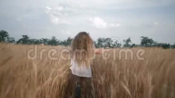 农业小女孩跑过粮田在收获季节她的手滑过黄穗视频的预览图
