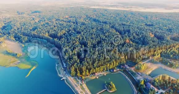 日落令人惊叹的森林湖在风景优美的绿色松树林中视频的预览图