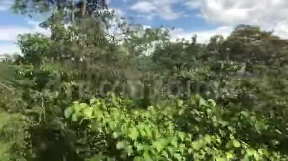 斯里兰卡埃拉远处的山脉在移动视频的预览图