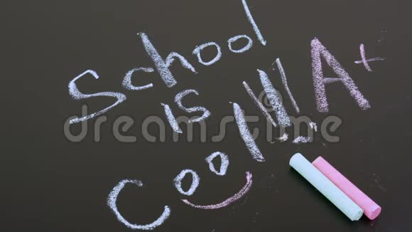 铭文五彩粉笔学校是凉爽白色和粉红色粉笔在框架回到学校教育观念视频的预览图