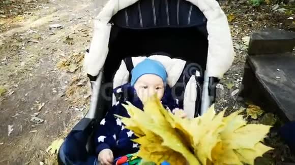 婴儿车里的小男孩在慢镜头下玩黄叶视频的预览图