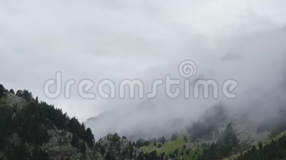 在覆盖树木的比利牛斯山脉森林中透过薄雾的时间推移视图视频的预览图