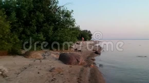 带狗边境牧羊犬的年轻女性在海岸上奔跑电影天桥海洋与茂盛的绿色丛林植被美丽美丽视频的预览图