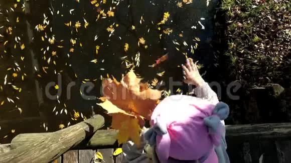 戴着帽子的小女孩把鲜艳的叶子扔进河里桥上儿童视频的预览图