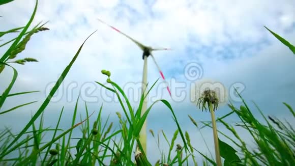 阴天的蒲公英花钟和风力发电机视频的预览图