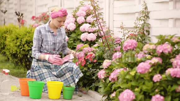 女园丁戴着橡胶手套在彩色花盆里种春花女园丁关心挖掘视频的预览图