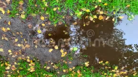 在开阔的大自然中水滴落在泥土路上的水坑里视频的预览图