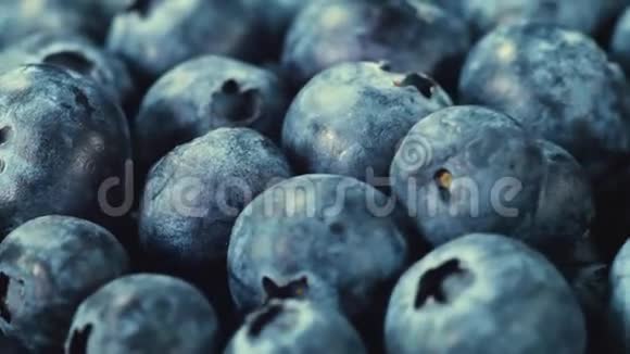 一堆蓝莓的特写镜头视频的预览图
