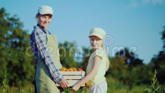 女农场主和女儿拿着一盒西红柿从他们的田地里出来视频的预览图