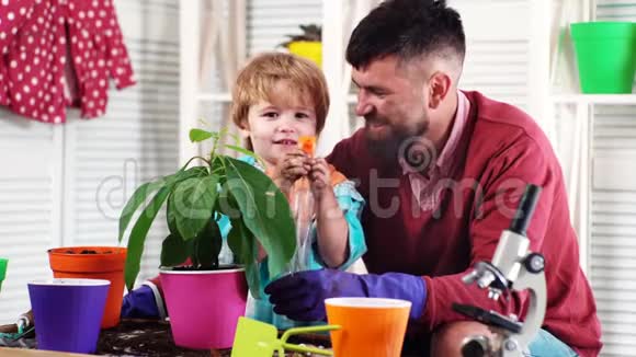 春观念自然与关怀可爱的孩子帮助他的父亲照顾植物种花一个有男孩植物的男人视频的预览图