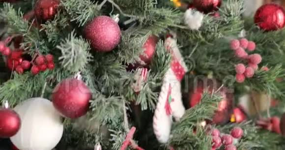 圣诞树上装饰着红色的球浆果雪枝上的花环视频的预览图