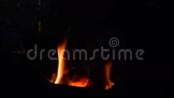 自然的火焰从火中冒出来橙色的火焰在夜晚的空地上木柴慢慢燃烧和燃烧乡村的生活视频的预览图