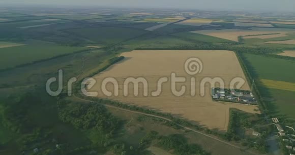 小麦恐慌草玉米大麦燕麦押韵的田野概况视频的预览图