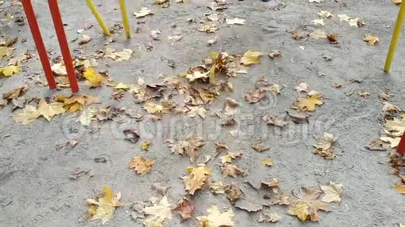 秋天的下午一个孩子正骑在秋千上儿童秋千视频的预览图