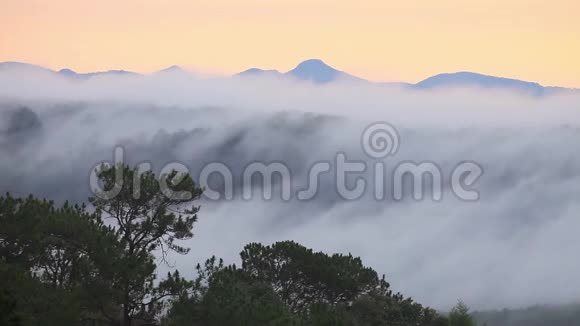 泰国清迈雾在雾蒙蒙的山谷中流淌前景是松林视频的预览图