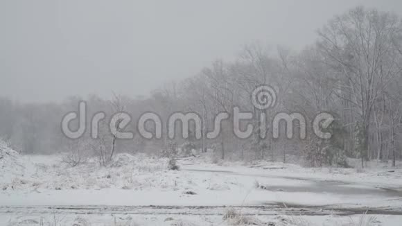 白雪覆盖着雪花飘落的树间小径视频的预览图