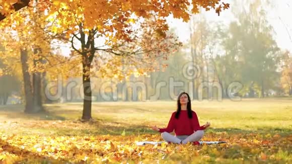秋天的金景在一个公园落叶视频的预览图