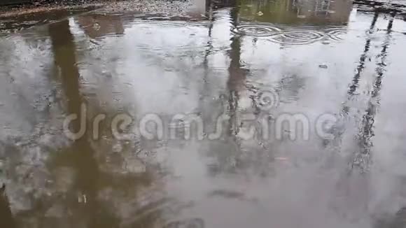 秋天的雨水滴落在沥青上的大水坑里淹没了街道慢动作录像视频的预览图